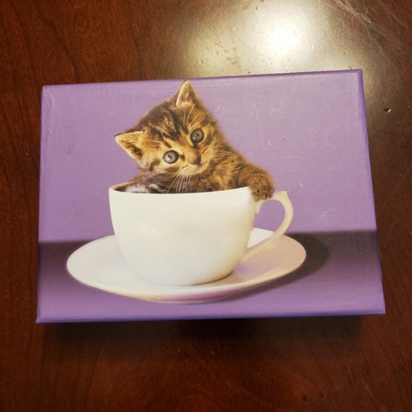Tea Cup Kitten Note Cards/Envelopes - Picture 1 of 3
